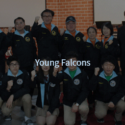Young Falcons