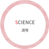 SCIENCE 과학
